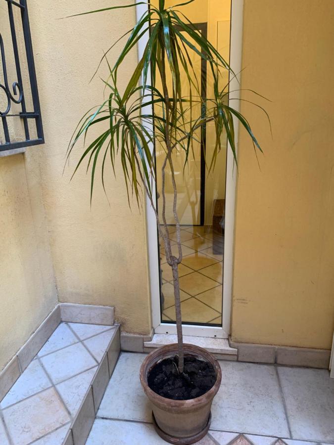 Biora Apartments كالياري المظهر الخارجي الصورة